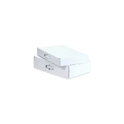 Staples 12 1/8" x 9 1/4" x 3", Corrugated Carrying Cases, White, 10/Bundle (MCC1)* Corrugated Mailers