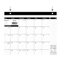 AT-A-GLANCE 2025 17.75" x 11" Monthly Desk Pad Calendar, White/Black (SK14-00-25) Sale