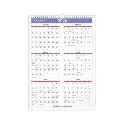 AT-A-GLANCE 2025 12" x 17" Monthly Wall Calendar, (PM2-28-25) Clearance