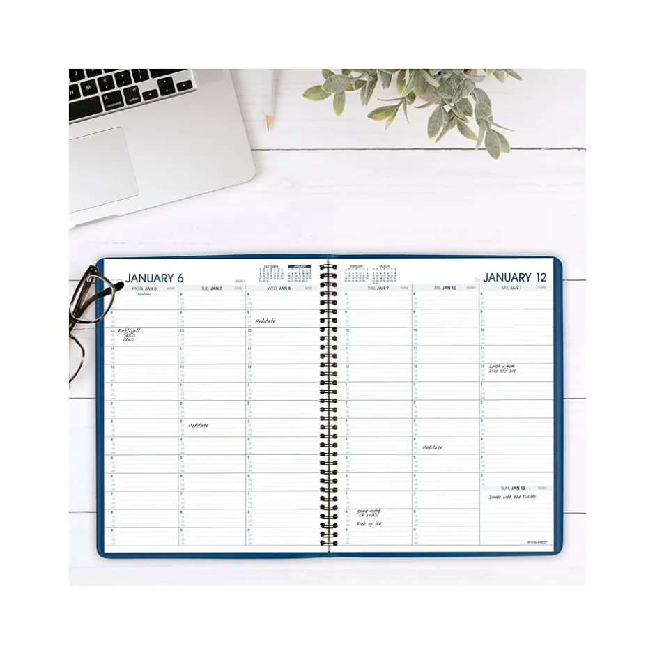 AT-A-GLANCE 2025 8.25" x 11" Weekly Appointment Book, Faux Leather Cover, Blue (70-940-20-25) Online