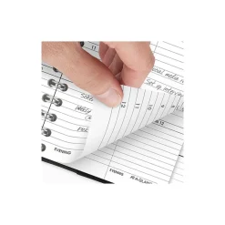 AT-A-GLANCE 2025 3.25