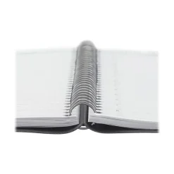 AT-A-GLANCE 2024-2025 DayMinder 8.5