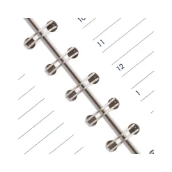 AT-A-GLANCE 2025 DayMinder 5