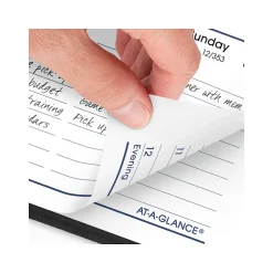 AT-A-GLANCE 2025 DayMinder 5