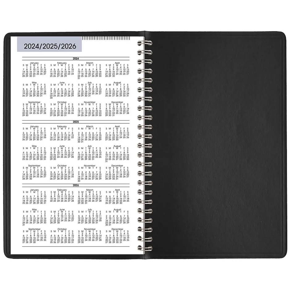 AT-A-GLANCE 2025 DayMinder 5" x 8" Weekly Appointment Book, Faux Leather Cover, Black (G200-00-25) Online