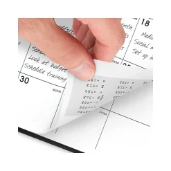 AT-A-GLANCE 2025 DayMinder 7