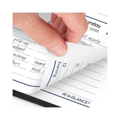 AT-A-GLANCE 2025 DayMinder 5