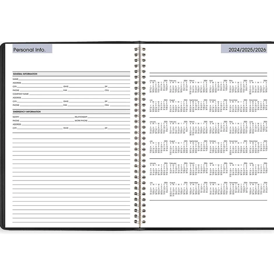 AT-A-GLANCE 2025 DayMinder 8" x 11" Weekly Appointment Book, Faux Leather Cover, Black (G520-00-25) Hot
