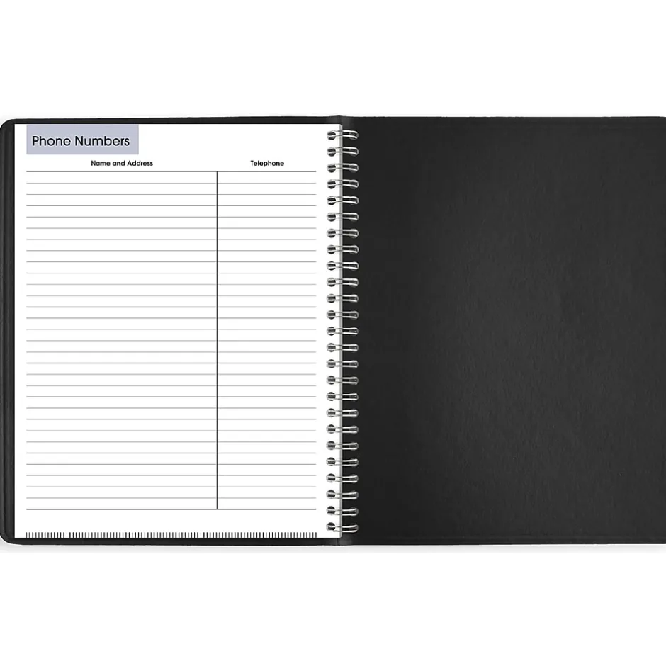 AT-A-GLANCE 2025 DayMinder 7" x 8.75" Weekly Planner, Faux Leather Cover, Black (G590-00-25)