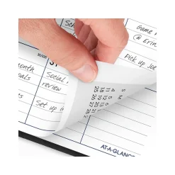 AT-A-GLANCE 2025 DayMinder 8