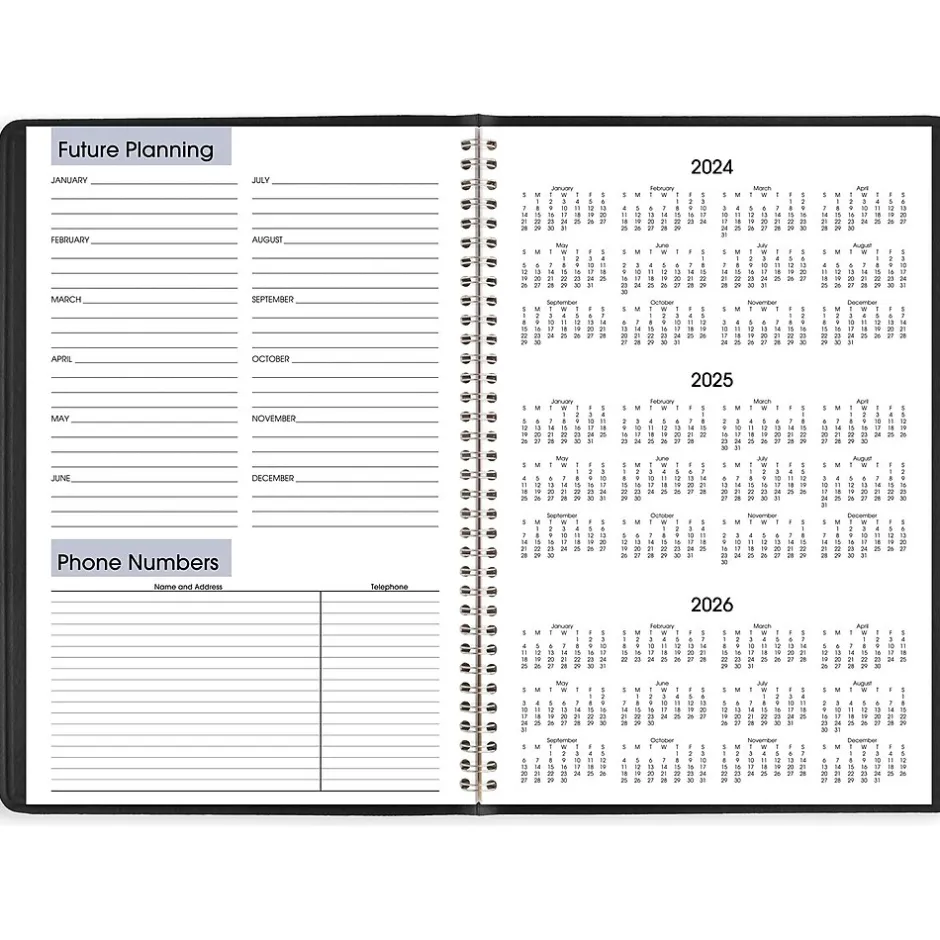 AT-A-GLANCE 2025 DayMinder 8" x 12" Monthly Planner, Faux Leather Cover, Black (G470-00-25)
