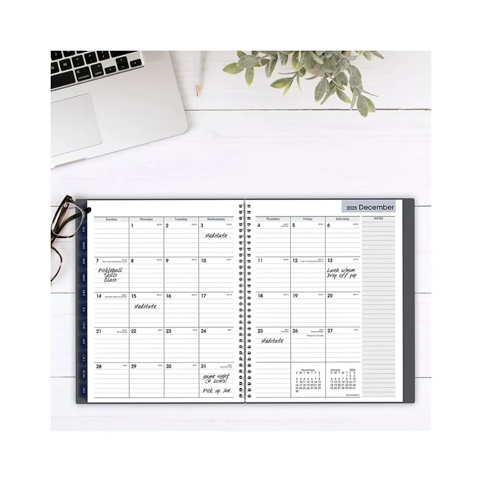 AT-A-GLANCE 2025 DayMinder 8.5" x 11" Weekly & Monthly Appointment Book, Plastic Cover, Gray (GC520-07-25) Hot