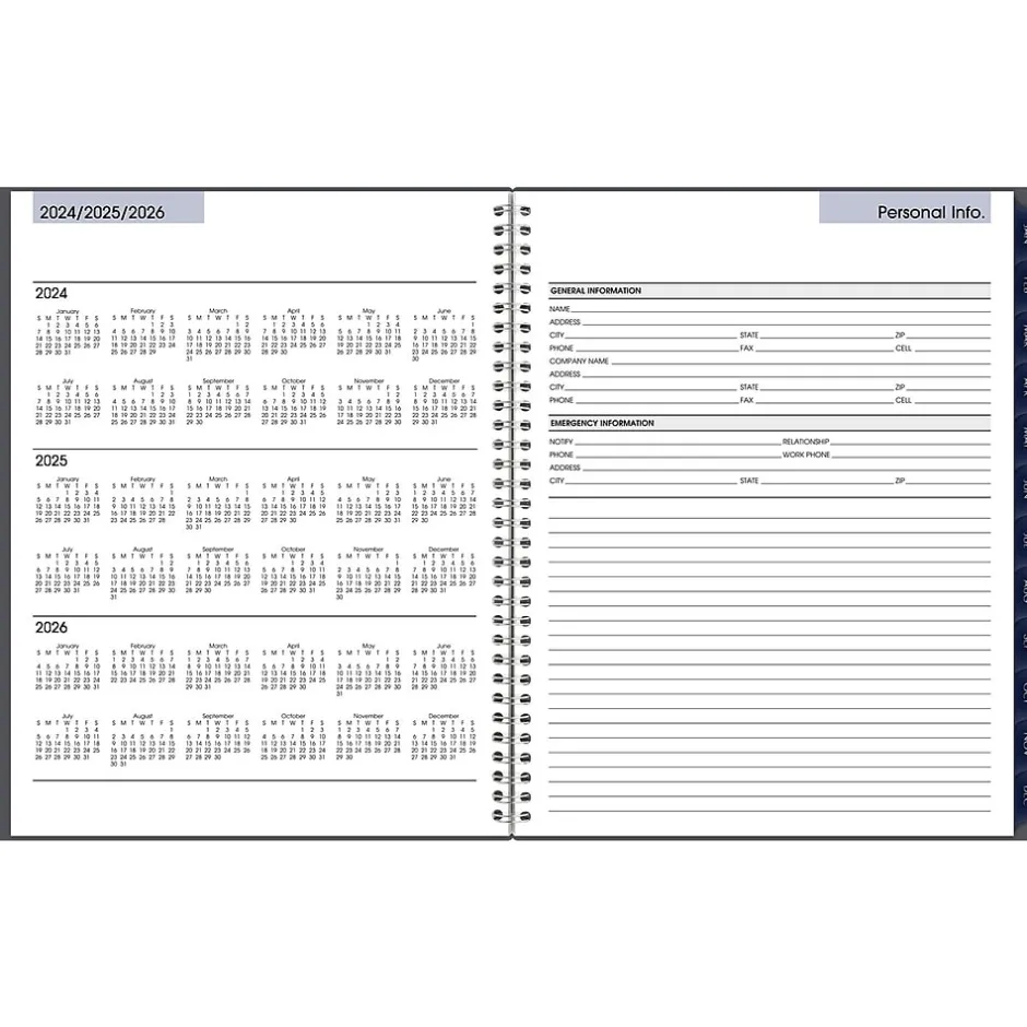 AT-A-GLANCE 2025 DayMinder 8.5" x 11" Weekly & Monthly Appointment Book, Plastic Cover, Gray (GC520-07-25) Hot