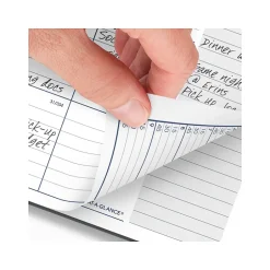 AT-A-GLANCE 2025 DayMinder 8.5