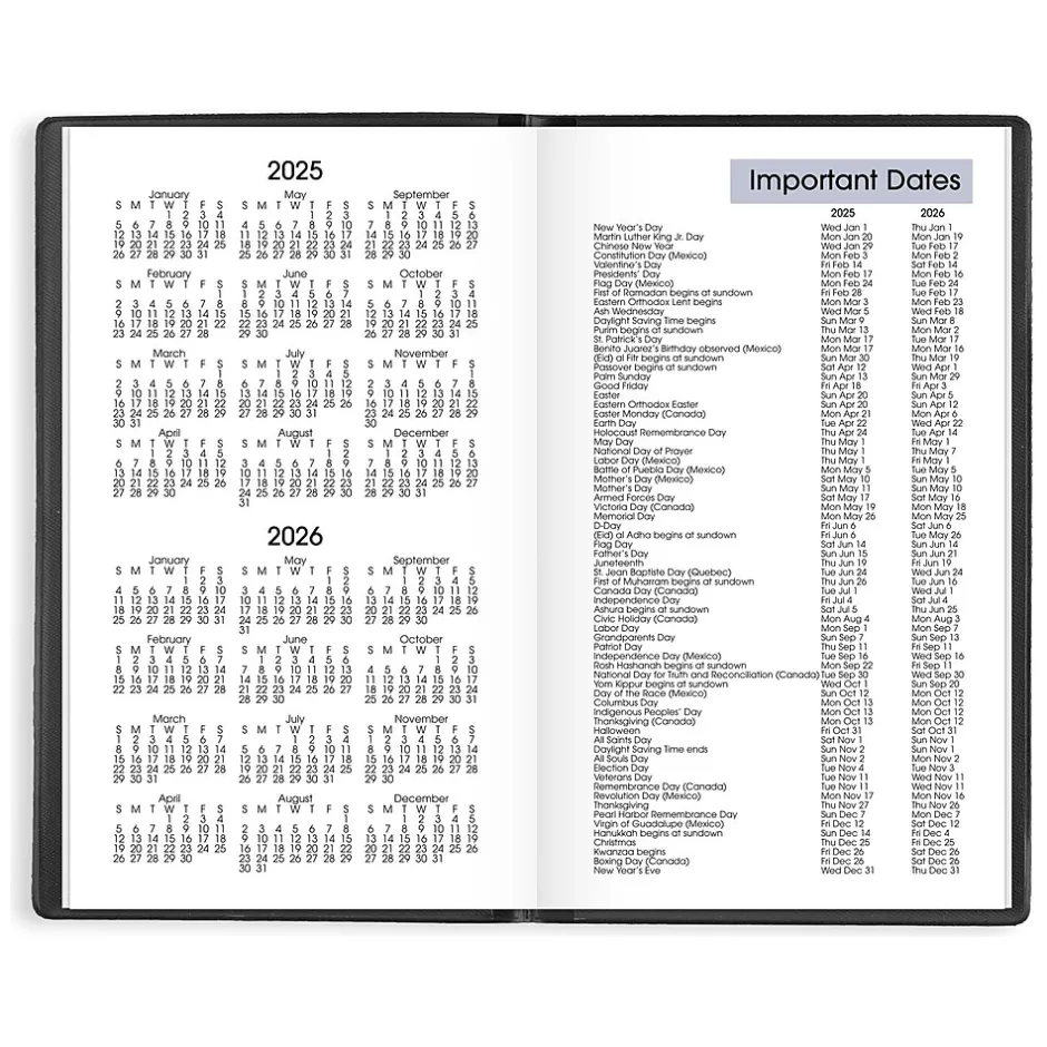 AT-A-GLANCE 2025 DayMinder 3.5" x 6" Weekly Planner, Poly Cover, Black (SK48-00-25) Discount