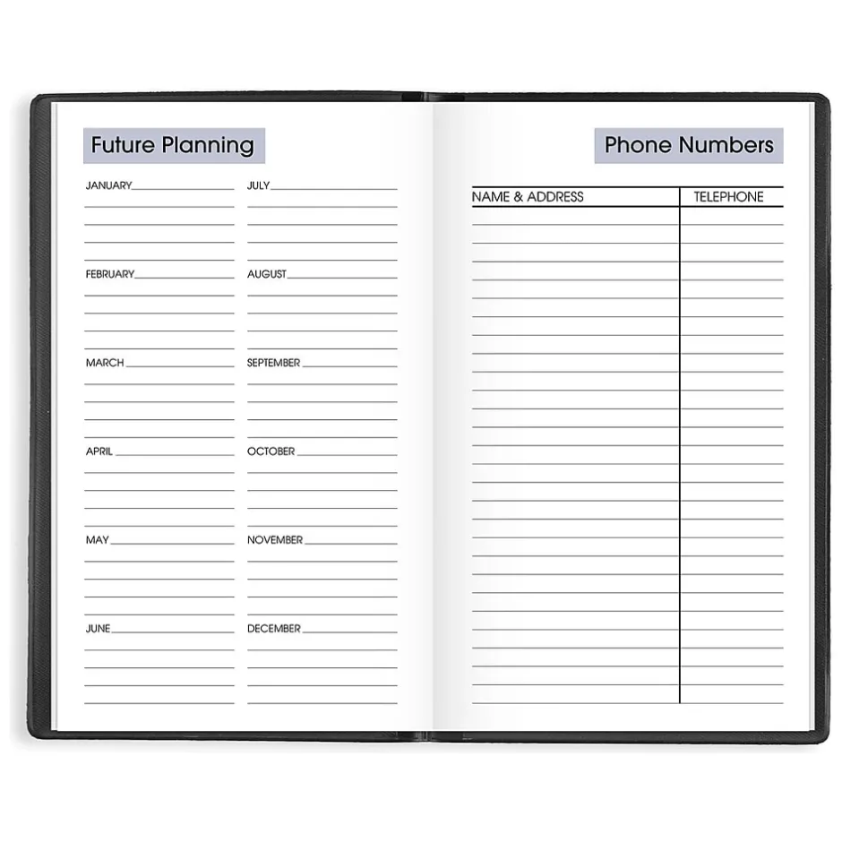 AT-A-GLANCE 2025 DayMinder 3.5" x 6" Weekly Planner, Poly Cover, Black (SK48-00-25) Discount