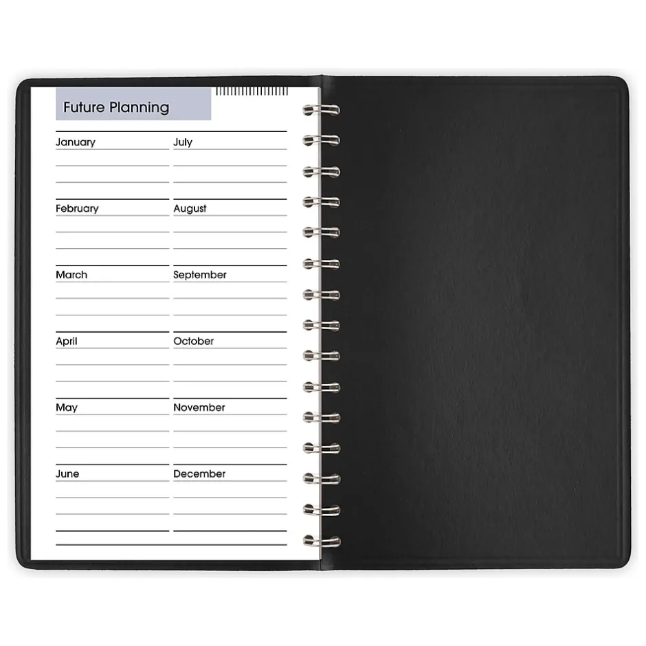 AT-A-GLANCE 2025 DayMinder 5" x 8" Daily Appointment Book, Faux Leather Cover, Black (G100-00-25) Best