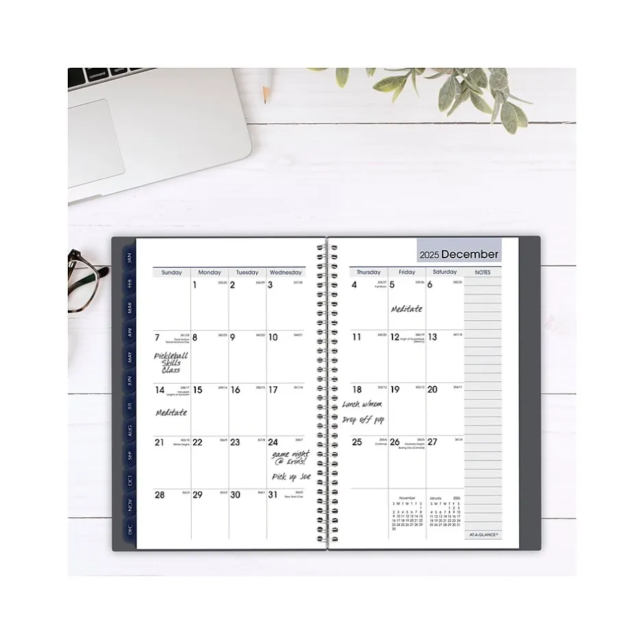 AT-A-GLANCE 2025 DayMinder 5" x 8" Weekly & Monthly Planner, Plastic Cover, Gray (GC200-07-25) New