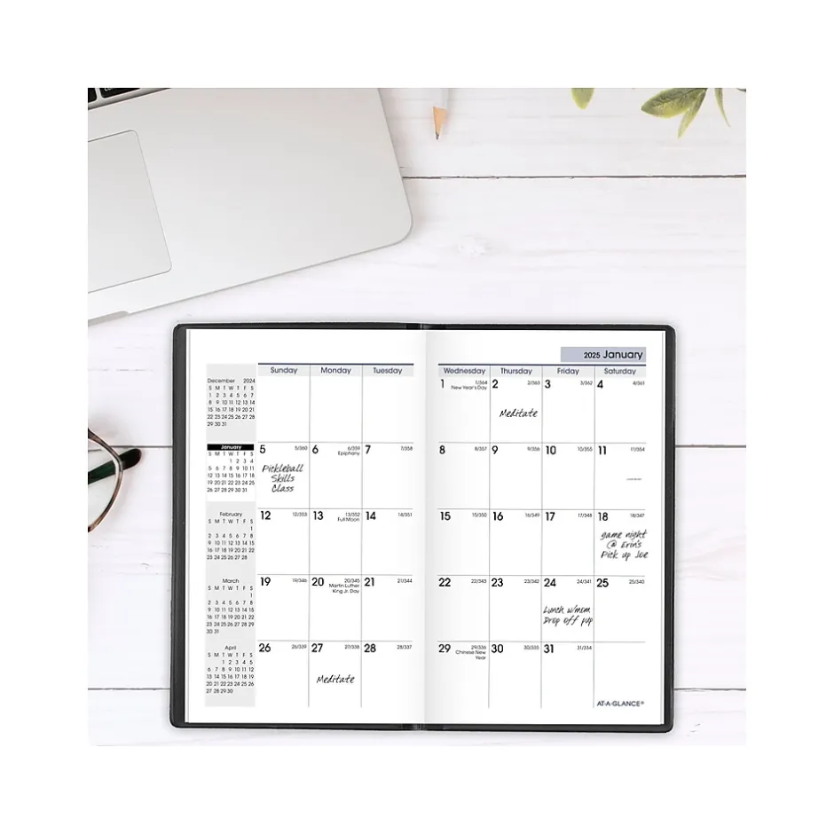 AT-A-GLANCE 2025 DayMinder 3.5" x 6" Monthly Planner, Plastic Cover, Black (SK53-00-25) Sale