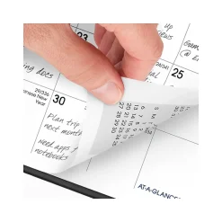 AT-A-GLANCE 2025 DayMinder 3.5