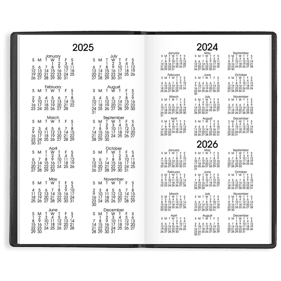 AT-A-GLANCE 2025 DayMinder 3.5" x 6" Monthly Planner, Plastic Cover, Black (SK53-00-25) Sale