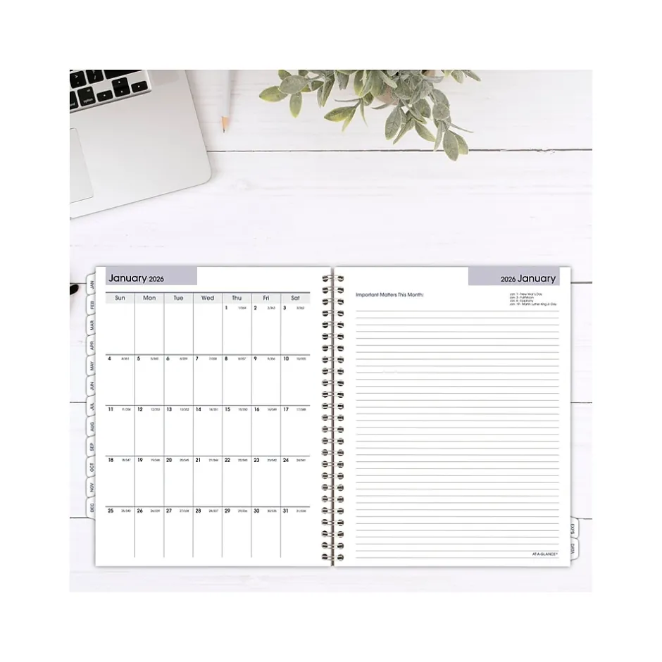 AT-A-GLANCE 2025 DayMinder Executive 8.75" x 7" Weekly & Monthly Planner Refill Pages, White (G545-50-25) Hot