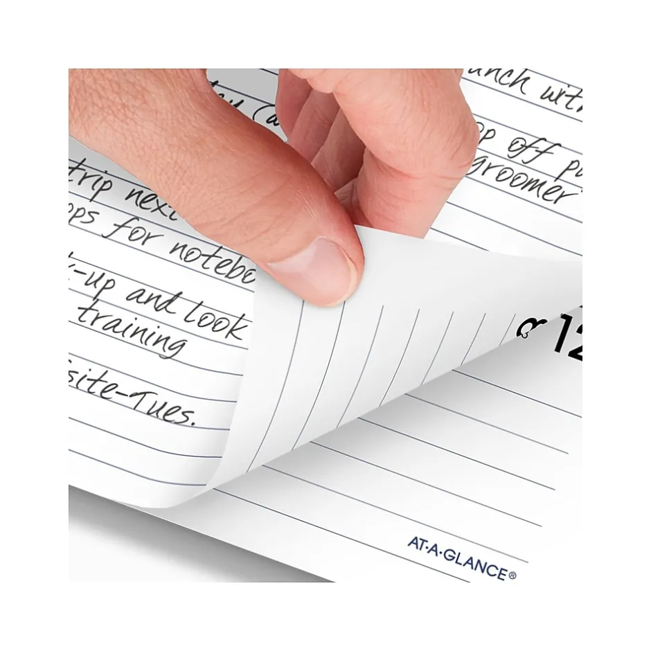 AT-A-GLANCE 2025 DayMinder Executive 8.75" x 7" Weekly & Monthly Planner Refill Pages, White (G545-50-25) Hot