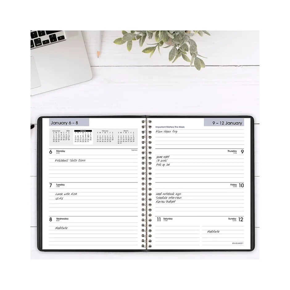 AT-A-GLANCE 2025 DayMinder Executive 7" x 8.75" Weekly & Monthly Planner, Faux Leather Cover, Black (G546-00-25) Outlet