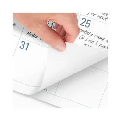 AT-A-GLANCE 2025 Easy-to-Read 21.75