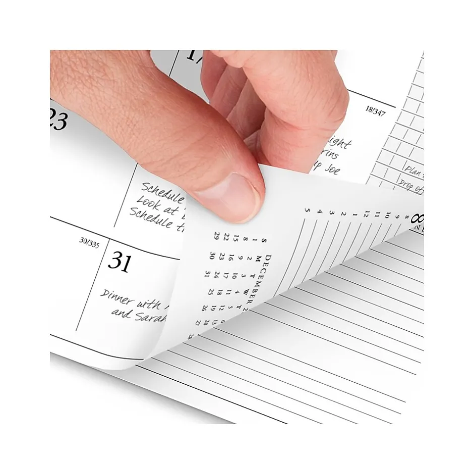 AT-A-GLANCE 2025 Executive 8.75" x 6.5" Weekly & Monthly Appointment Book Refill, White/Black (70-908-10-25) Outlet