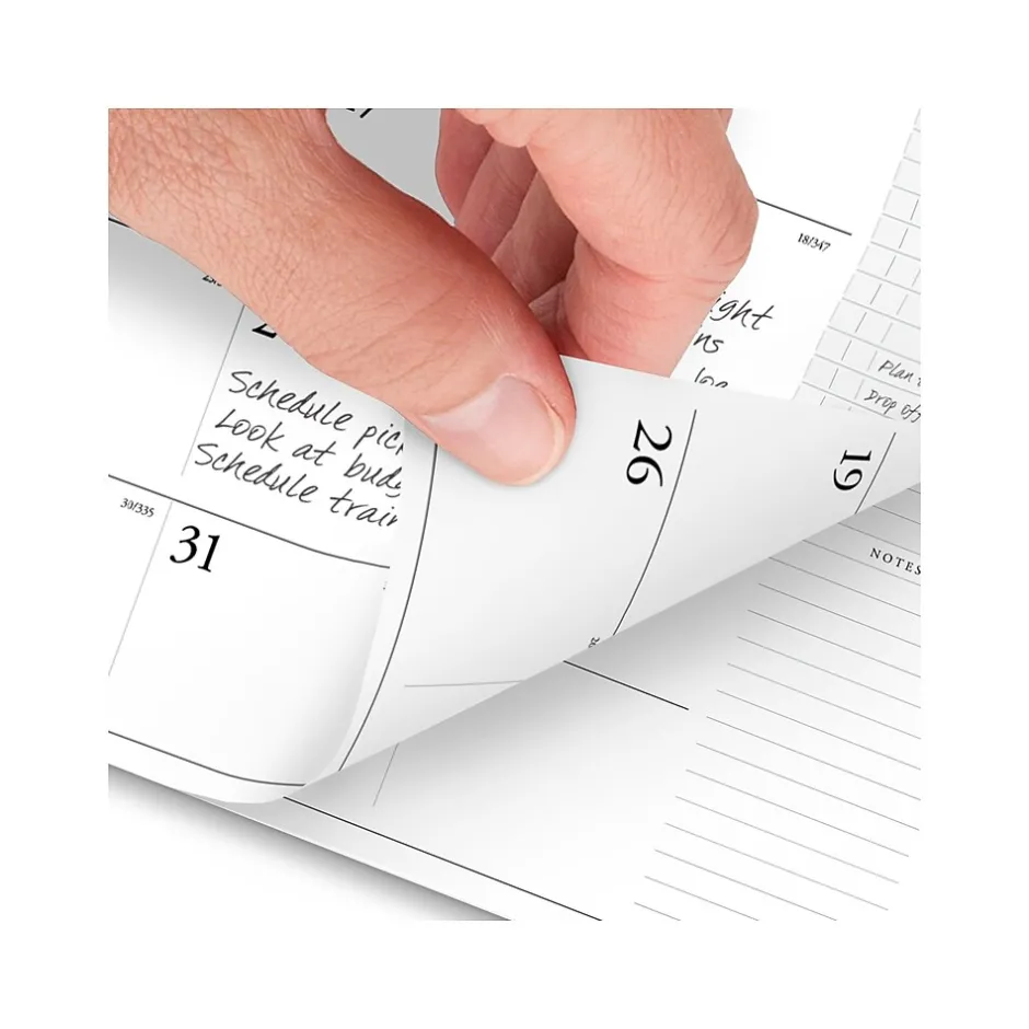 AT-A-GLANCE 2025 Executive 11" x 9" Monthly Padfolio Refill, White/Black (70-909-10-25) Best