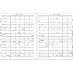 AT-A-GLANCE 2025 Executive 11