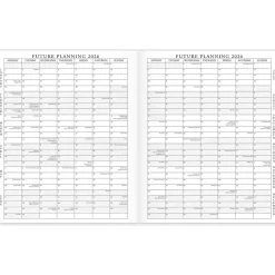 AT-A-GLANCE 2025 Executive 11