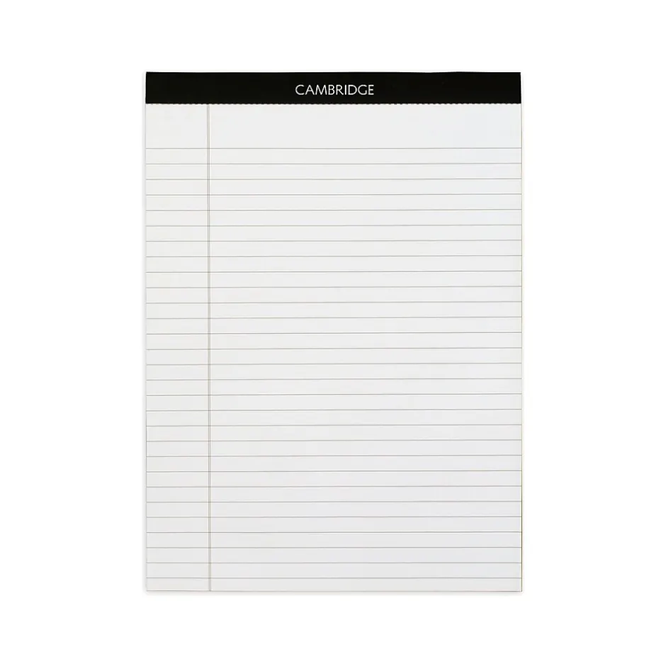 AT-A-GLANCE 2025 Executive 11" x 9" Monthly Padfolio Refill, White/Black (70-909-10-25) Best
