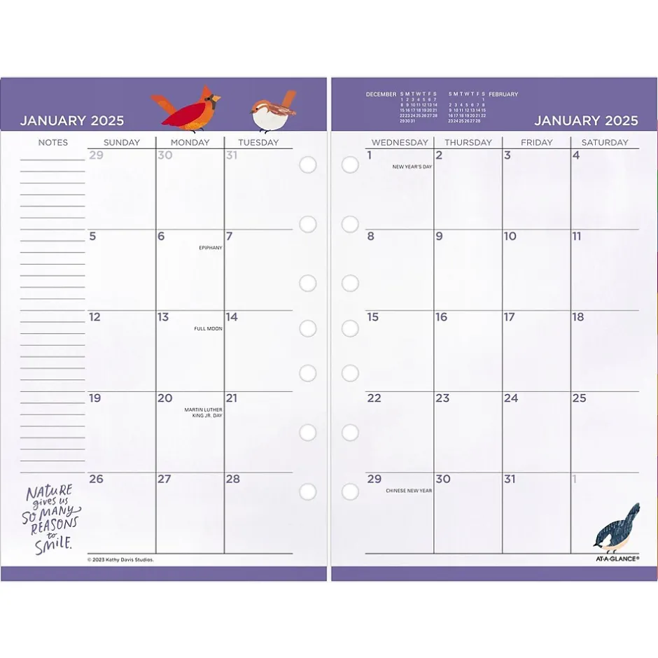 AT-A-GLANCE 2025 Kathy Davis 8.5" x 5.5" Daily & Monthly Planner Refill, Multicolor (KD81-125-25) Clearance