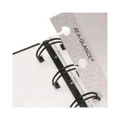 AT-A-GLANCE 2025 Move-a-Page 8.75