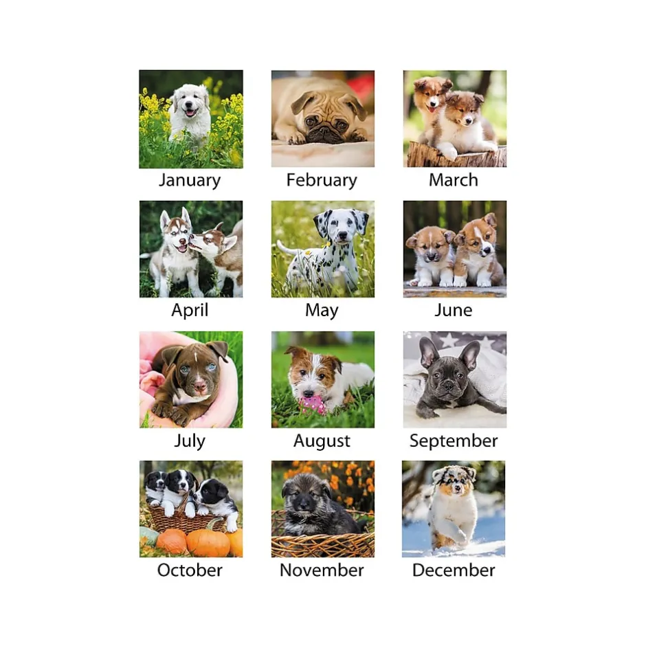AT-A-GLANCE 2025 Puppies 21.75" x 17" Monthly Desk Pad Calendar (DMD166-32-25) Sale