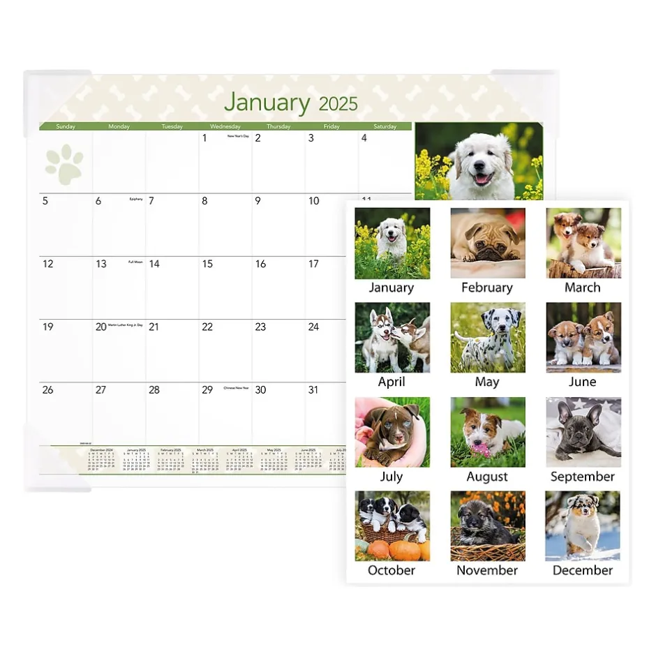 AT-A-GLANCE 2025 Puppies 21.75" x 17" Monthly Desk Pad Calendar (DMD166-32-25) Sale