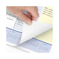 AT-A-GLANCE 2025 QuickNotes 21.75