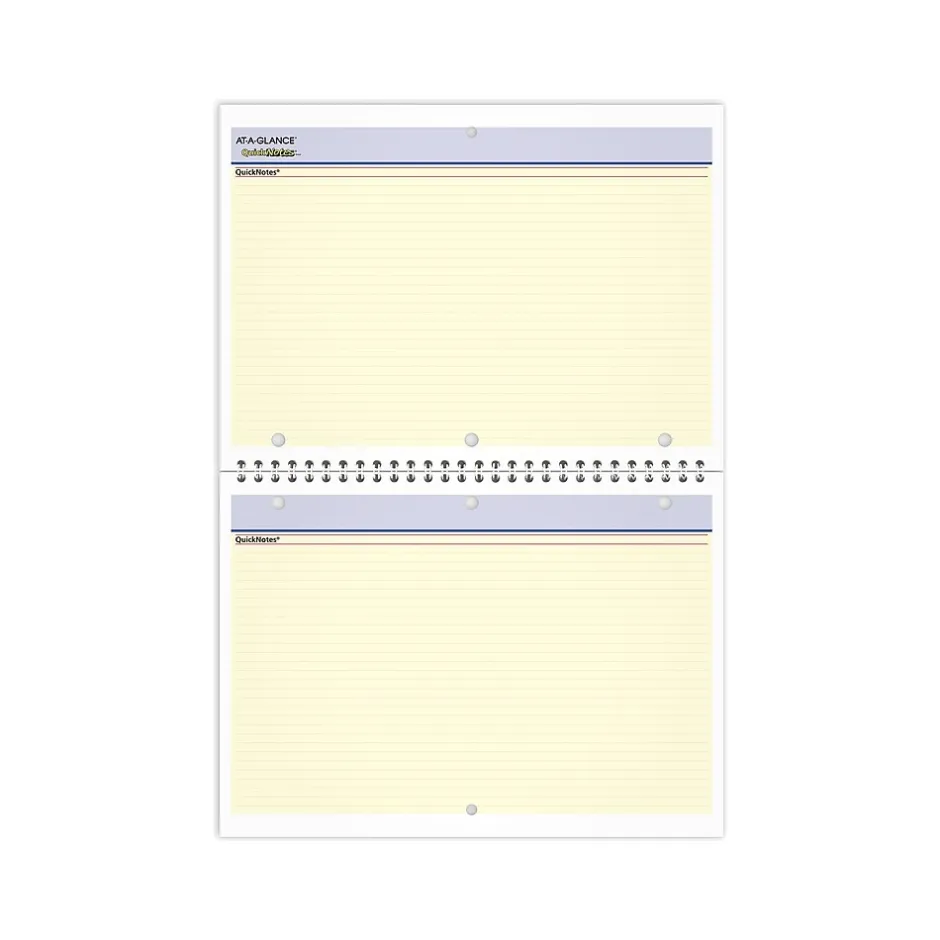 AT-A-GLANCE 2025 QuickNotes 11" x 8" Monthly Desk or Wall Calendar, (PM50-28-25)