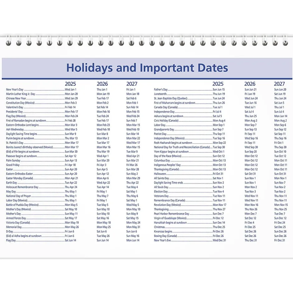 AT-A-GLANCE 2025 QuickNotes 11" x 8" Monthly Desk or Wall Calendar, (PM50-28-25)