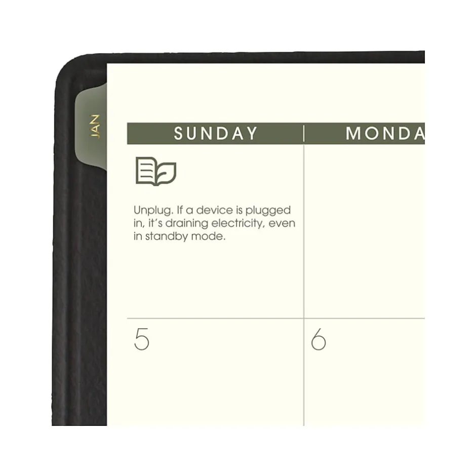 AT-A-GLANCE 2025 Recycled 9" x 11" Monthly Planner, Faux Leather Cover, Black (70-260G-05-25) Clearance
