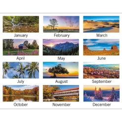 AT-A-GLANCE 2025 Scenic 12" x 27" Three-Month Wall Calendar (DMW503-28-25) New