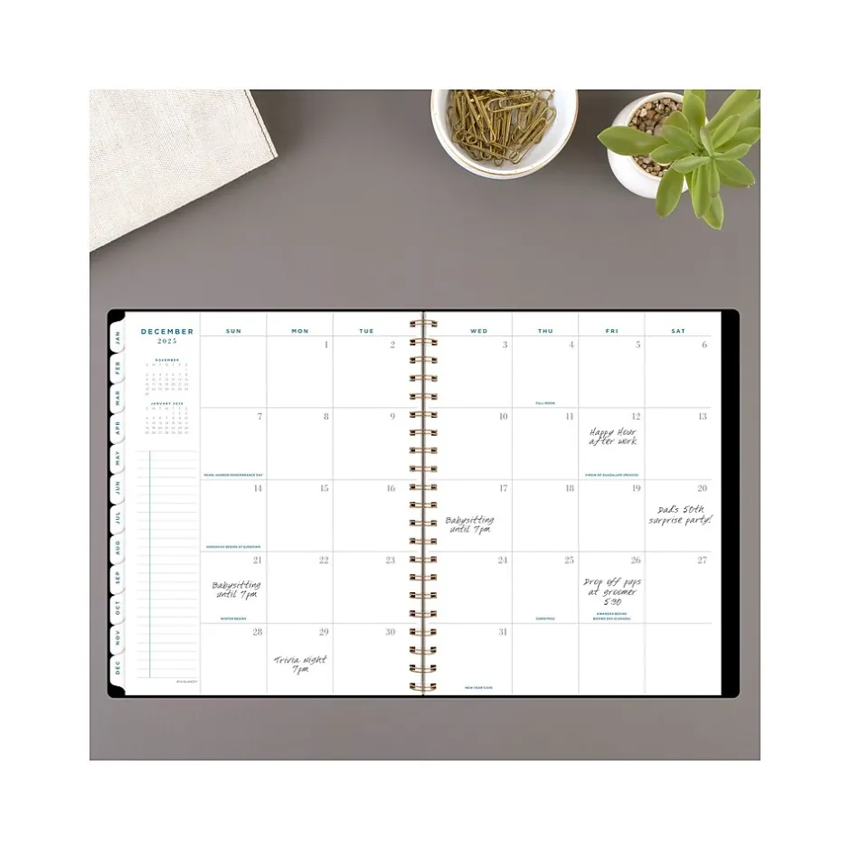 AT-A-GLANCE 2025 Signature Lite 8.5" x 11" Weekly & Monthly Planner, Poly Cover, Black (YP905L-05-25) Outlet