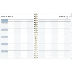 Blue Sky 2024-2025 Aminah Rose 8.5" x 11" Academic Weekly & Monthly Planner, Gray Board Cover, Multicolor (150461) New