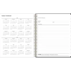 Blue Sky 2025 Baccara Dark 8