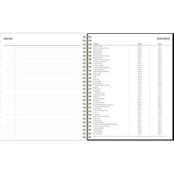 Blue Sky 2025 Baccara Dark 8