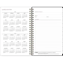 Blue Sky 2024-2025 Belinda Selene Nyla 5