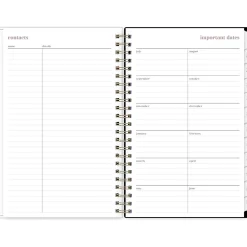 Blue Sky 2024-2025 Belinda Selene Nyla 5