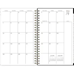 Blue Sky 2024-2025 Belinda Selene Lucy 5